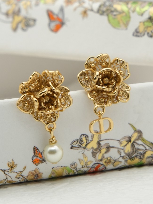Dior Earring CE16989
