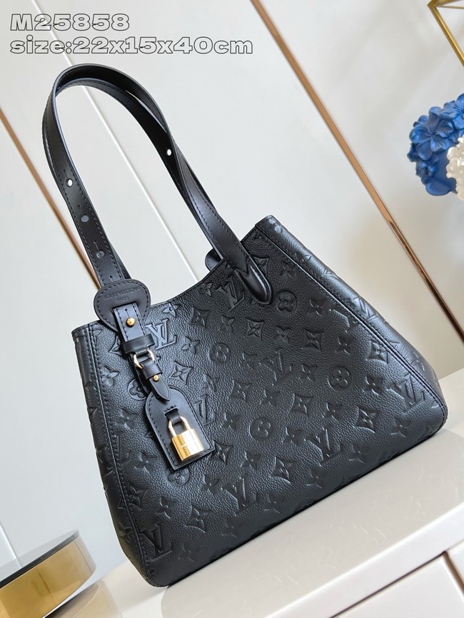 Louis Vuitton NEW All In One PM M25858 black