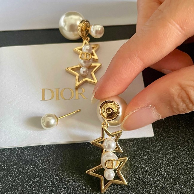 Dior Earring CE81959